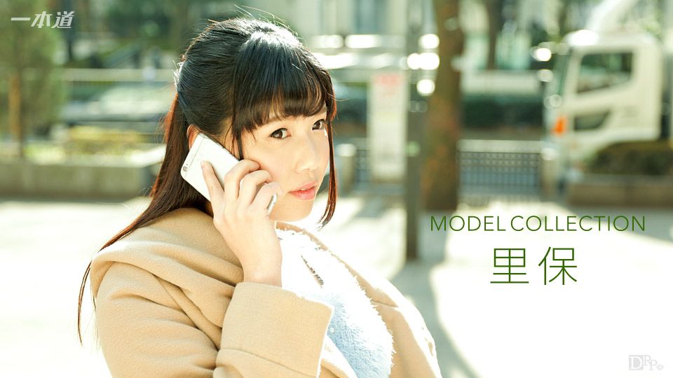 1Pondo-111417-605 Model Collection Rie Misaki