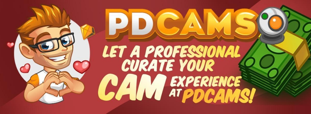 PDCams image 3